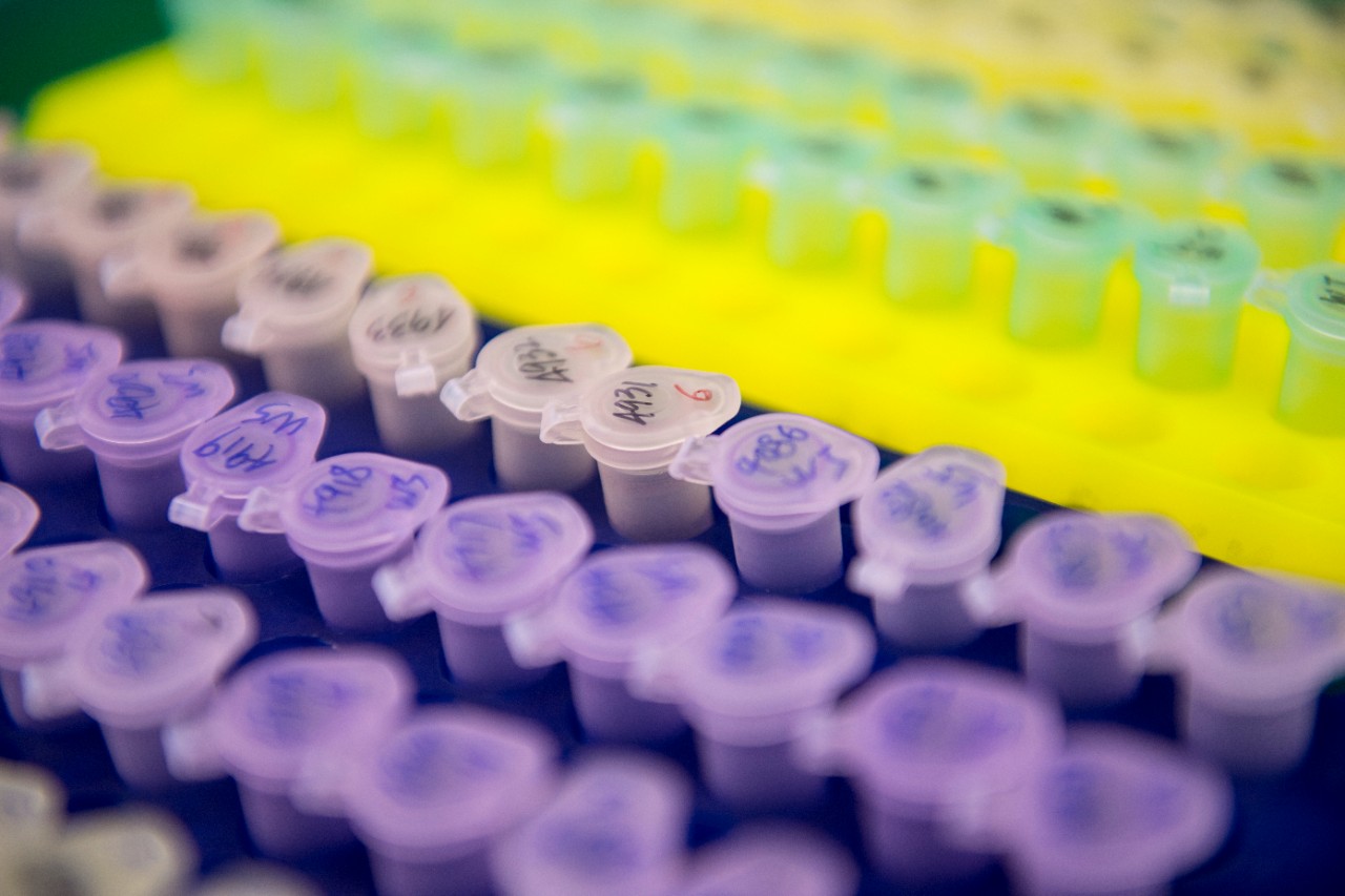 details of lab work.