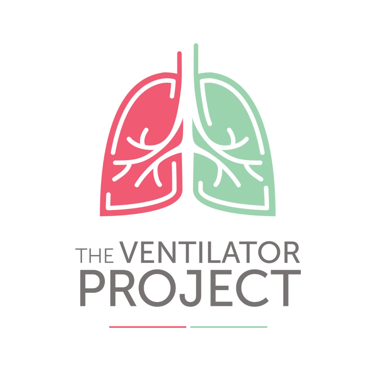 The Ventilator Project logo with an illustration of lungs. The left lung is pink and the right lung is green. "The Ventilator Project" text is underneath the lung illustration with a pink line and a green line underneath