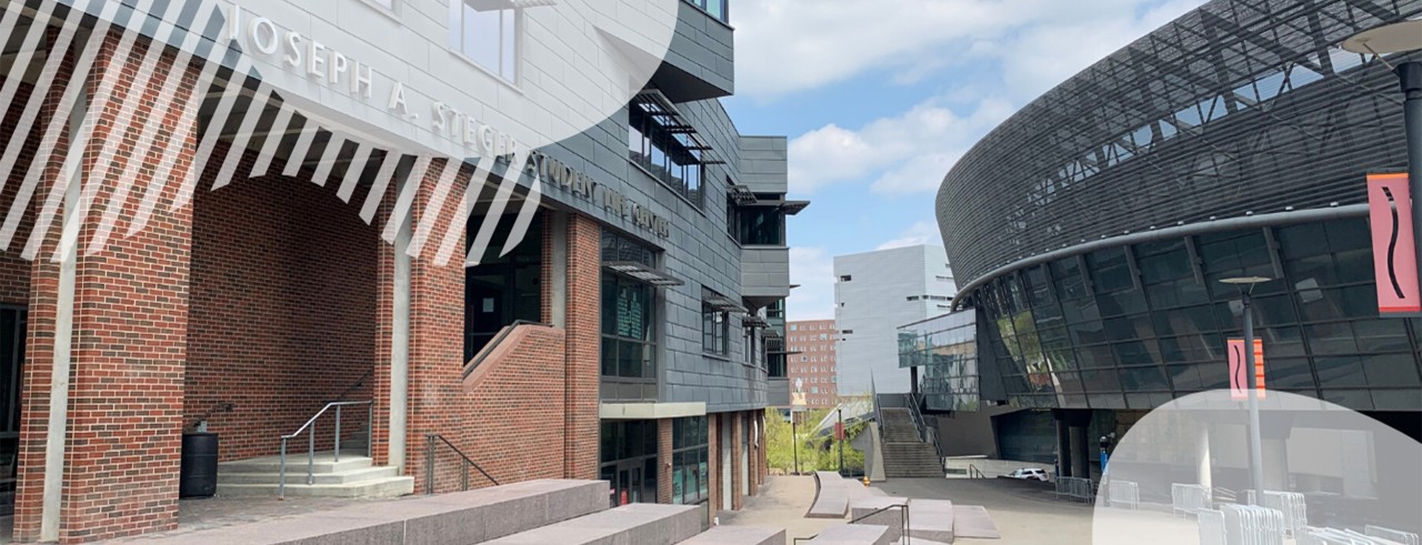 Mainstreet between Steger Student Life Center and Campus Recreation
