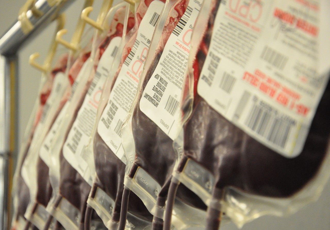 Row of blood bags hanging on rack
