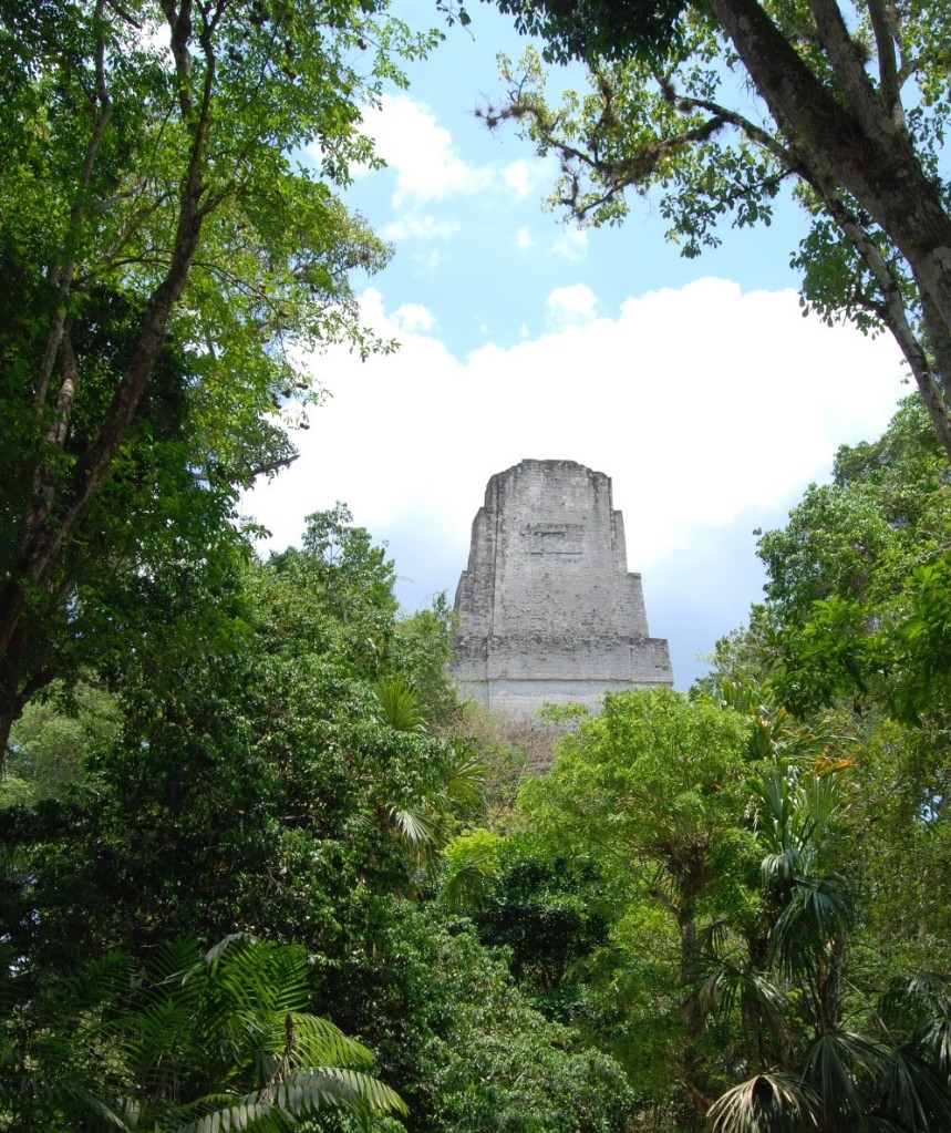 A stone palace rises above the rainforest.