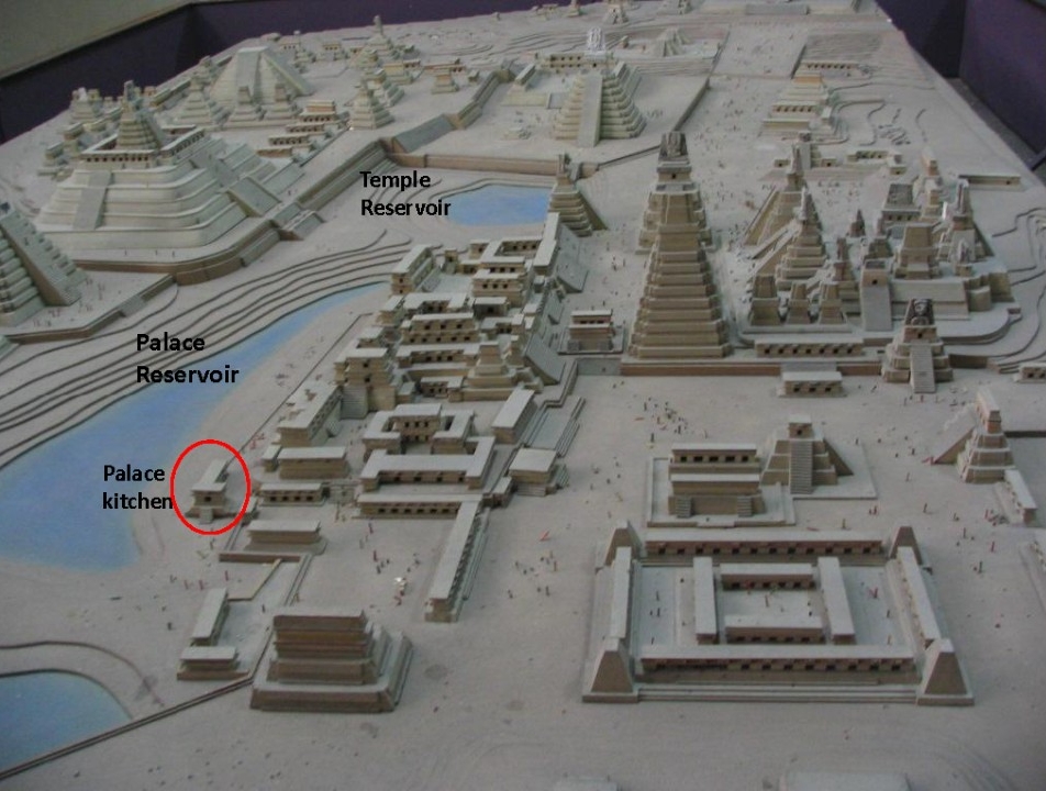A model of ancient Tikal shows the orientation of the palace and temple reservoirs that fronted the city.