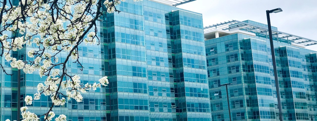 Glass-encased campus housing