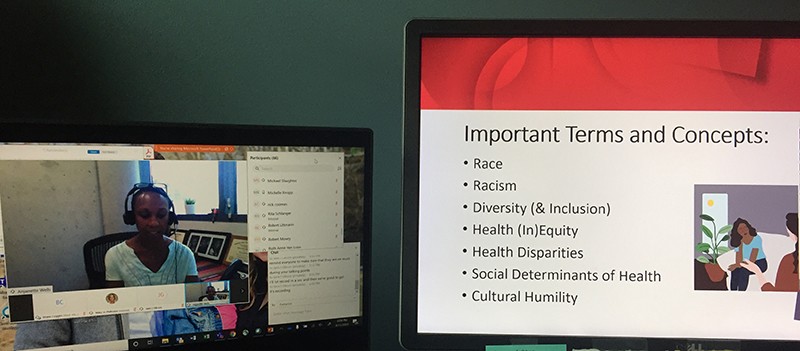 screen shot from the webinar on August 13