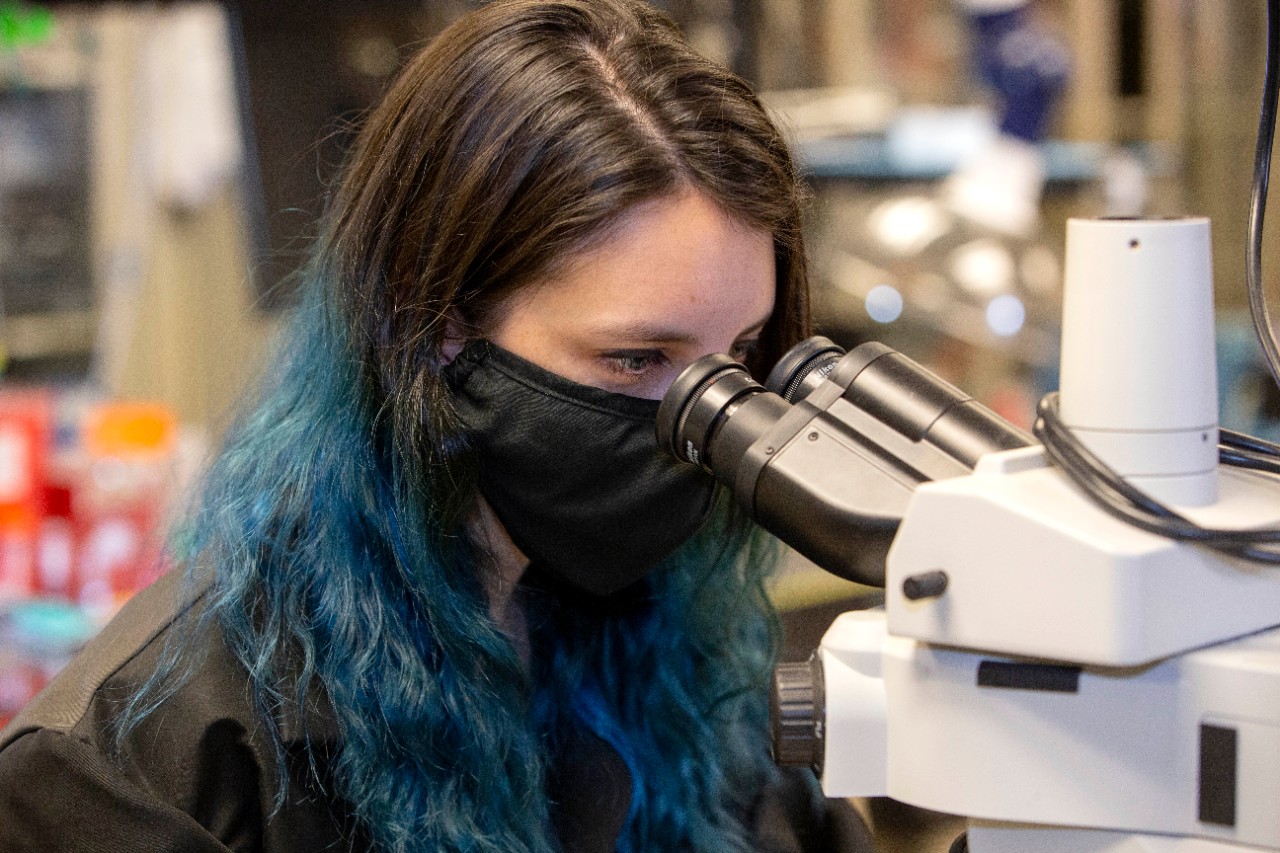Amy Drexelius, UC doctoral student shown here with her influenza test and sensors in the UC’s Novel Devices Lab at Rhodes Hall  UC/ Joseph Fuqua II