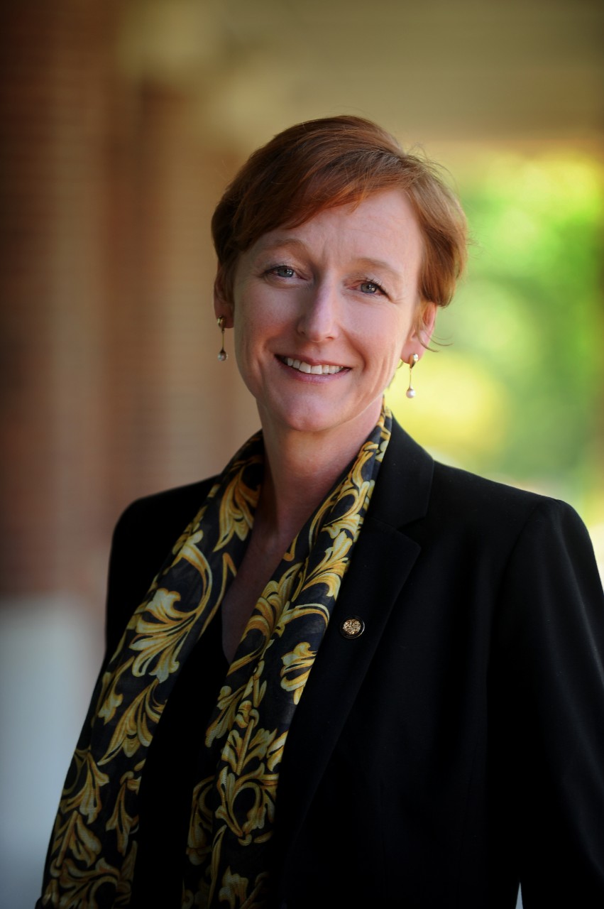 Dean Lyrissa Lidsky, University of Missouri School of Law