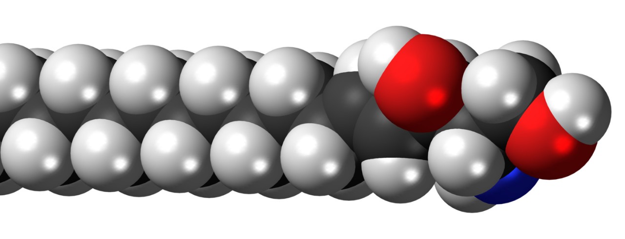 Illustration of Sphingosine