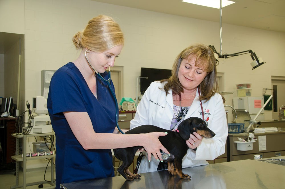 Dr. Jennifer Wells works with a student and her dog in the vet tech lab