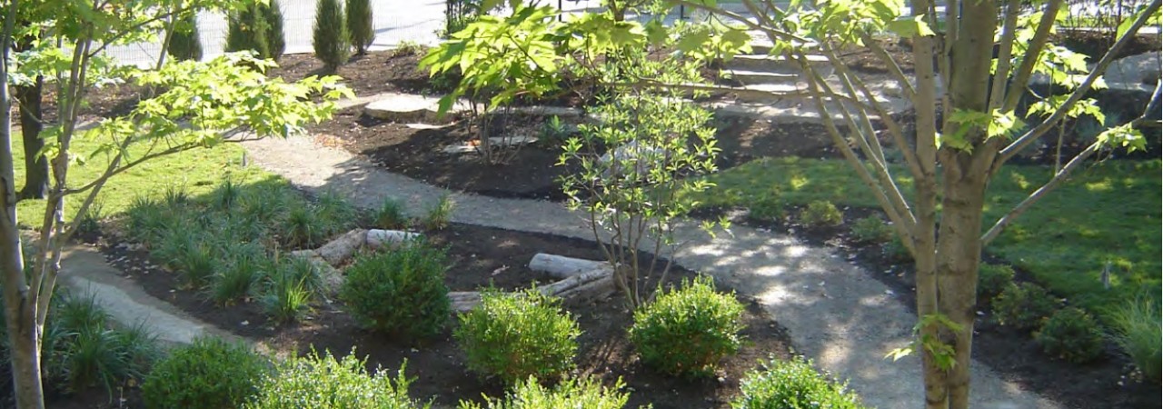 green garden 