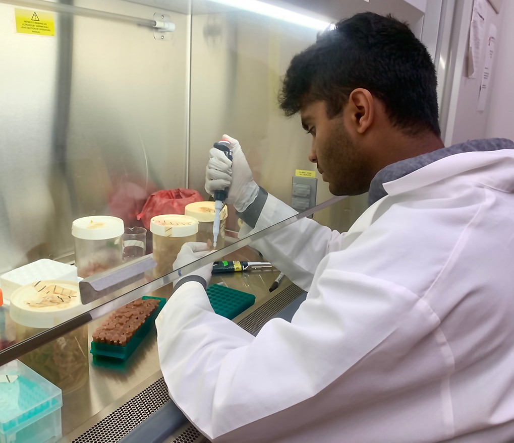 Reddy, a young man in a lab coat and gloves, prepares lab samples at a bench with a glass hood.