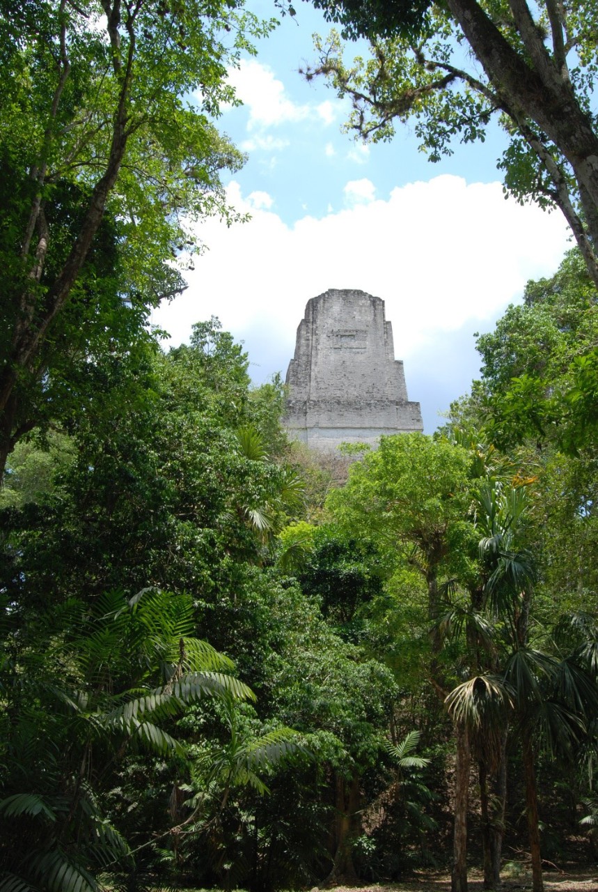 A stone temple rises above a lush rainforest.