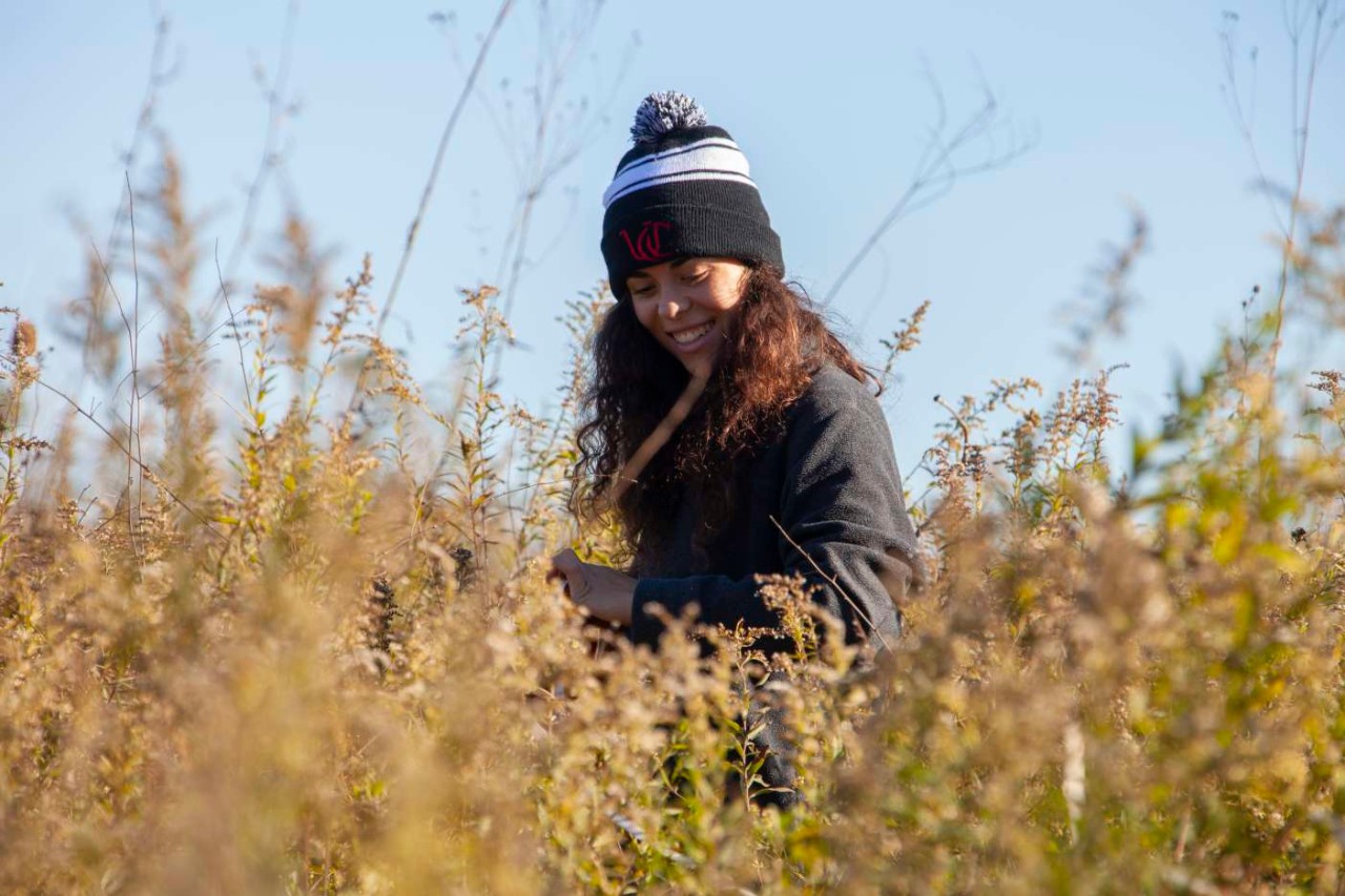 A UC student works in a tallgrass prairie in the fall.