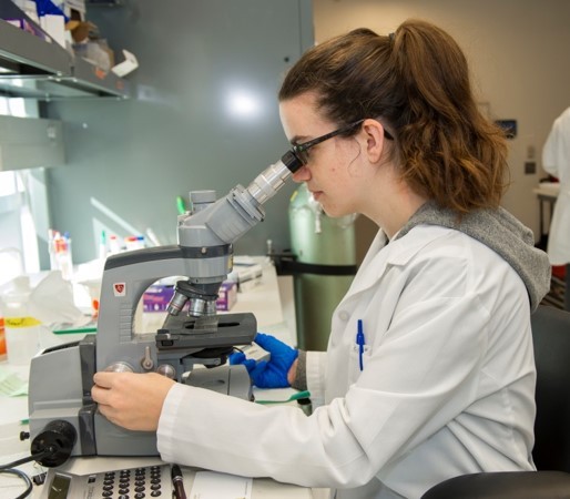woman looking into a microscope
