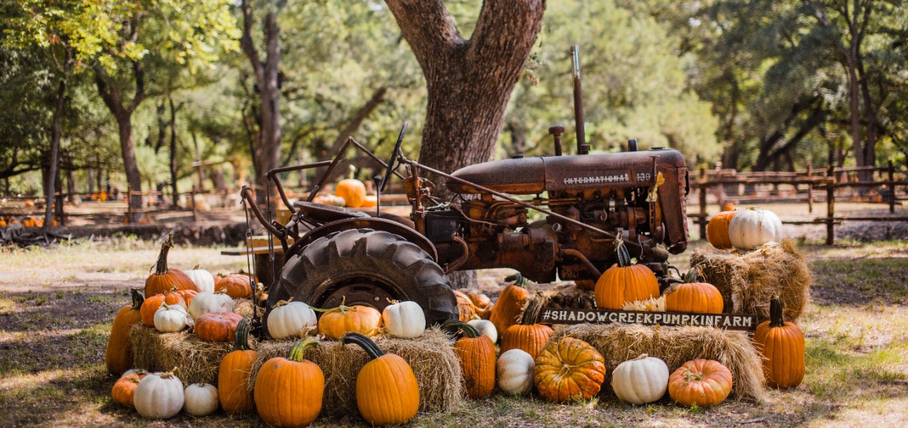 A tractor and pumpkins.