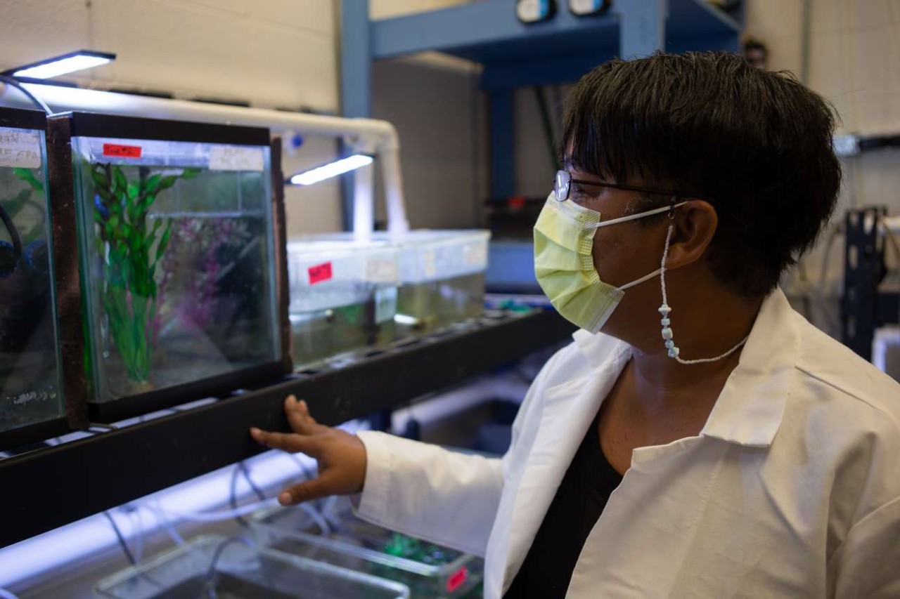UC professor Latonya Jackson points to fish in an aquarium in her biology lab.