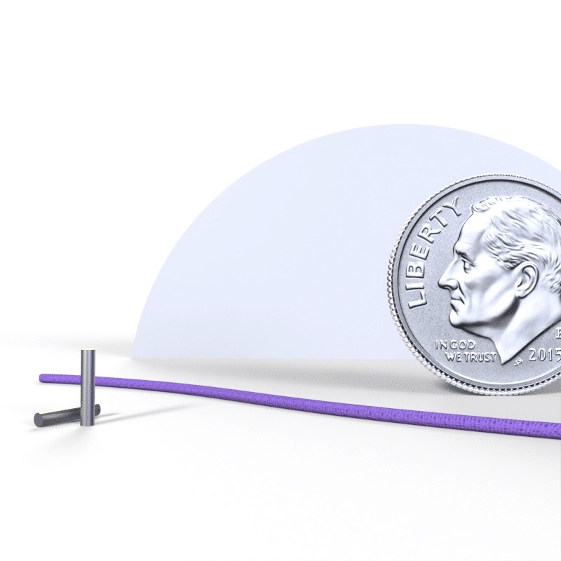 Two seeds on the left of the photo are smaller when compared in size to a U.S. dime