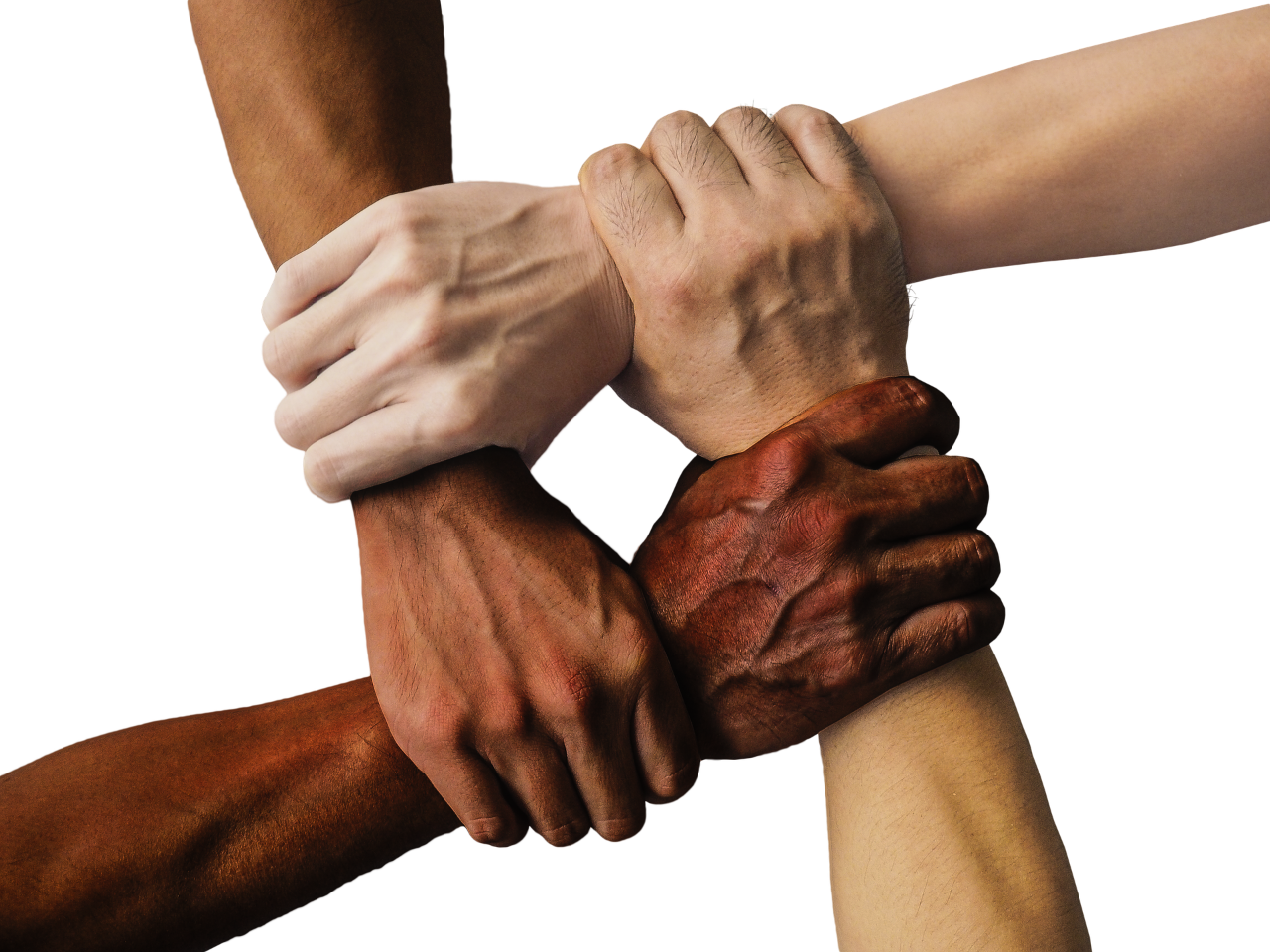 diverse hands