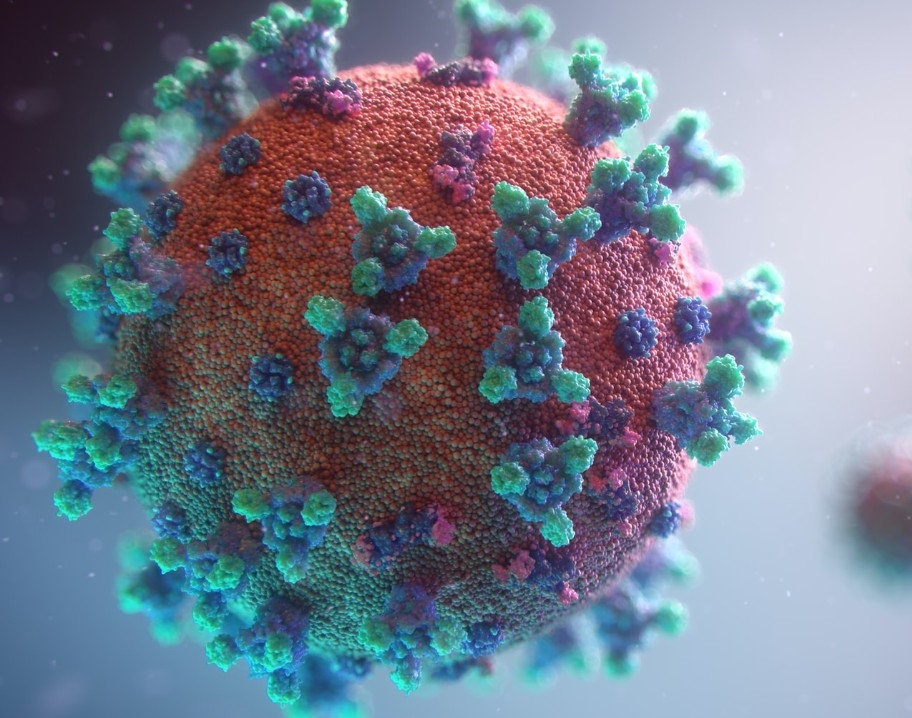 An illustration of the coronavirus.