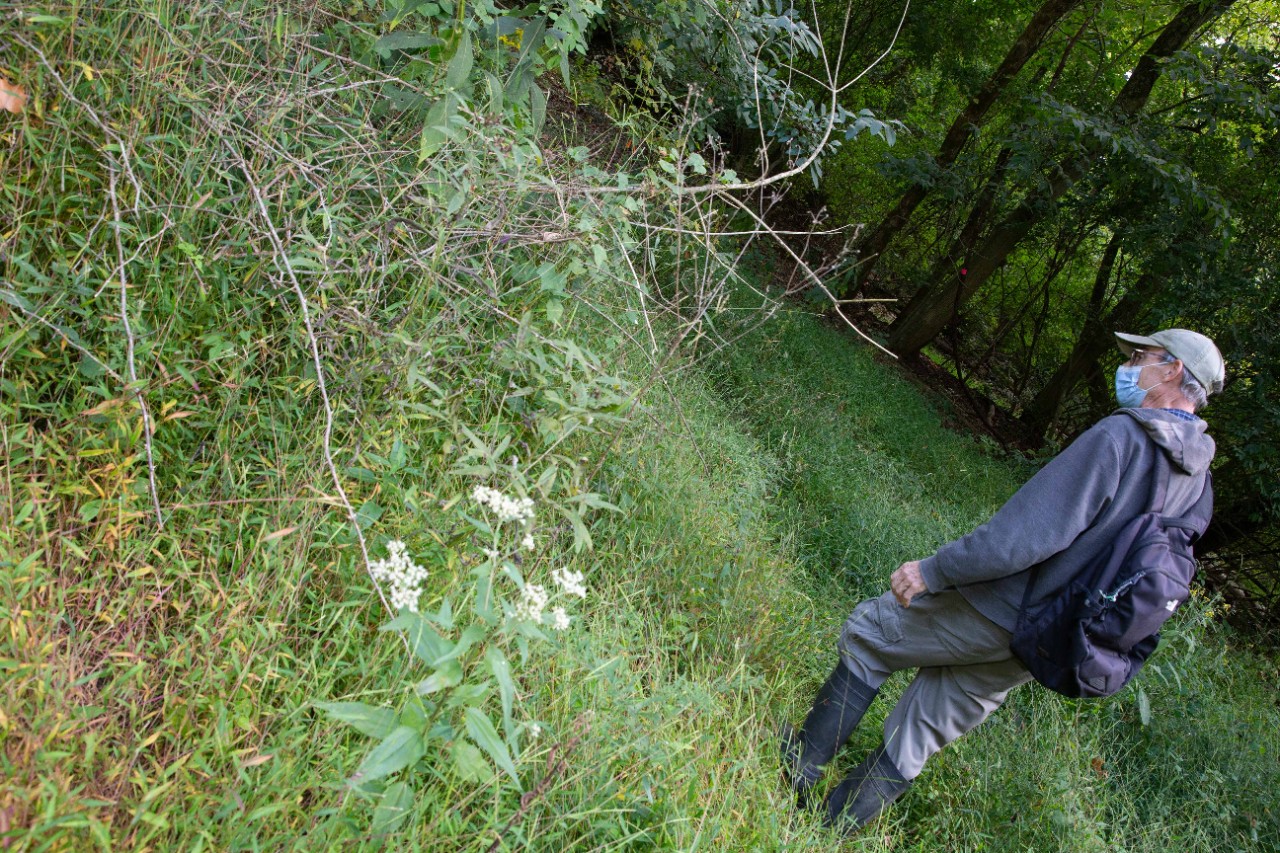 Denis Conover is working on a native plant restoration project for Bender Mountain.