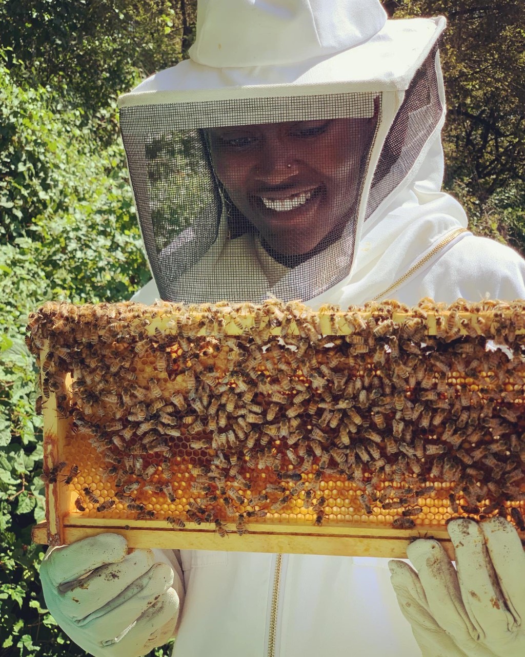 a woman in beekeeper's equipment with a board of bees
