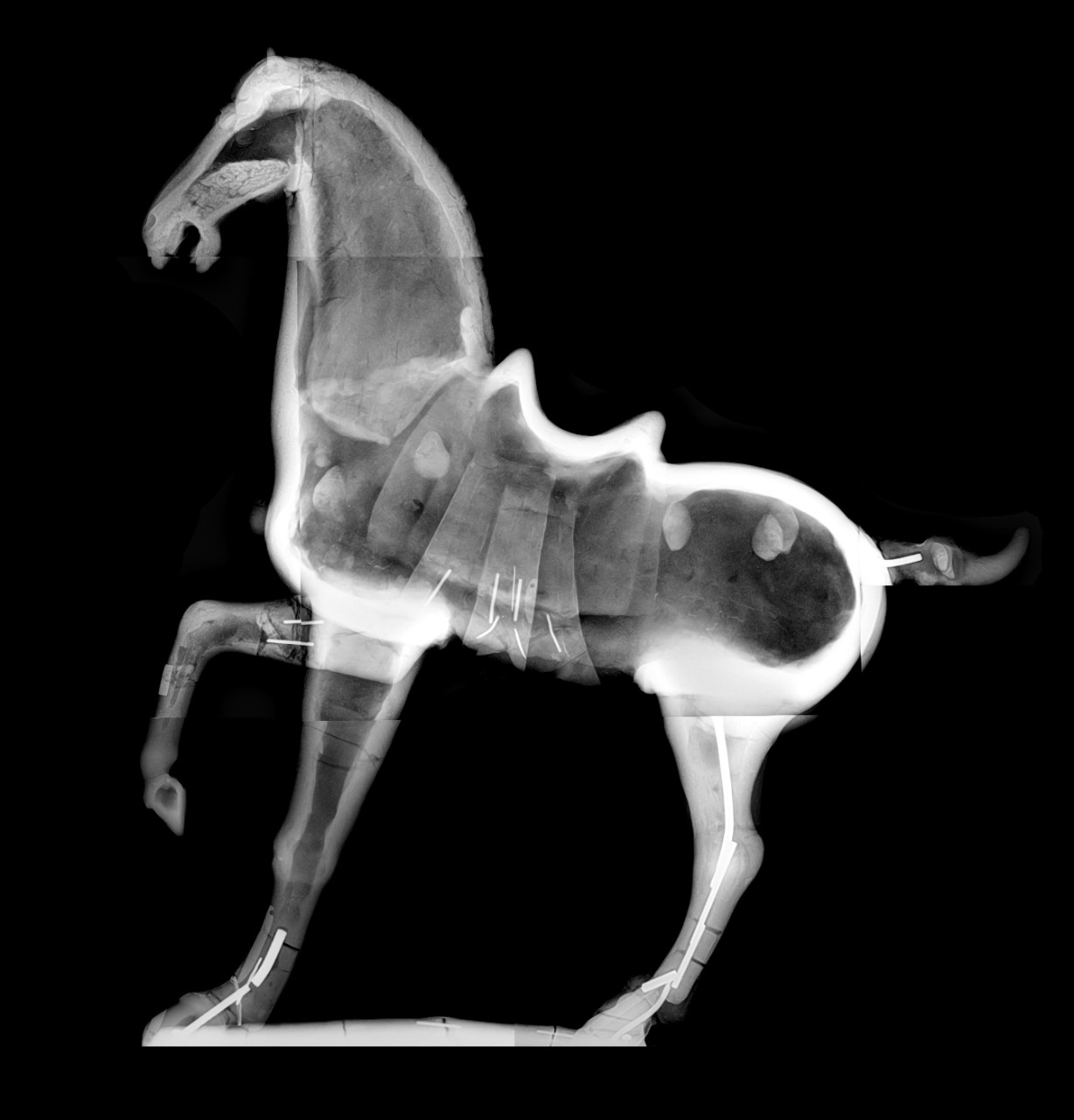 An X-ray of a horse sculpture shows the internal support pieces used in its creation.