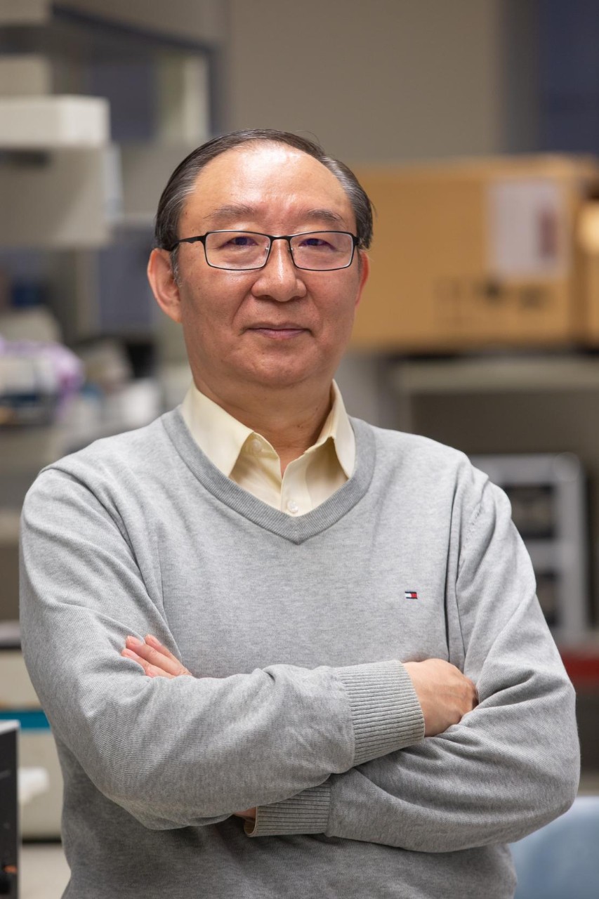 Researchers work in the lab of Dr. Yigang Wang, a professor in the University of Cincinnati College of Medicine, who has developed a technology that regenerates and repairs heart cells.