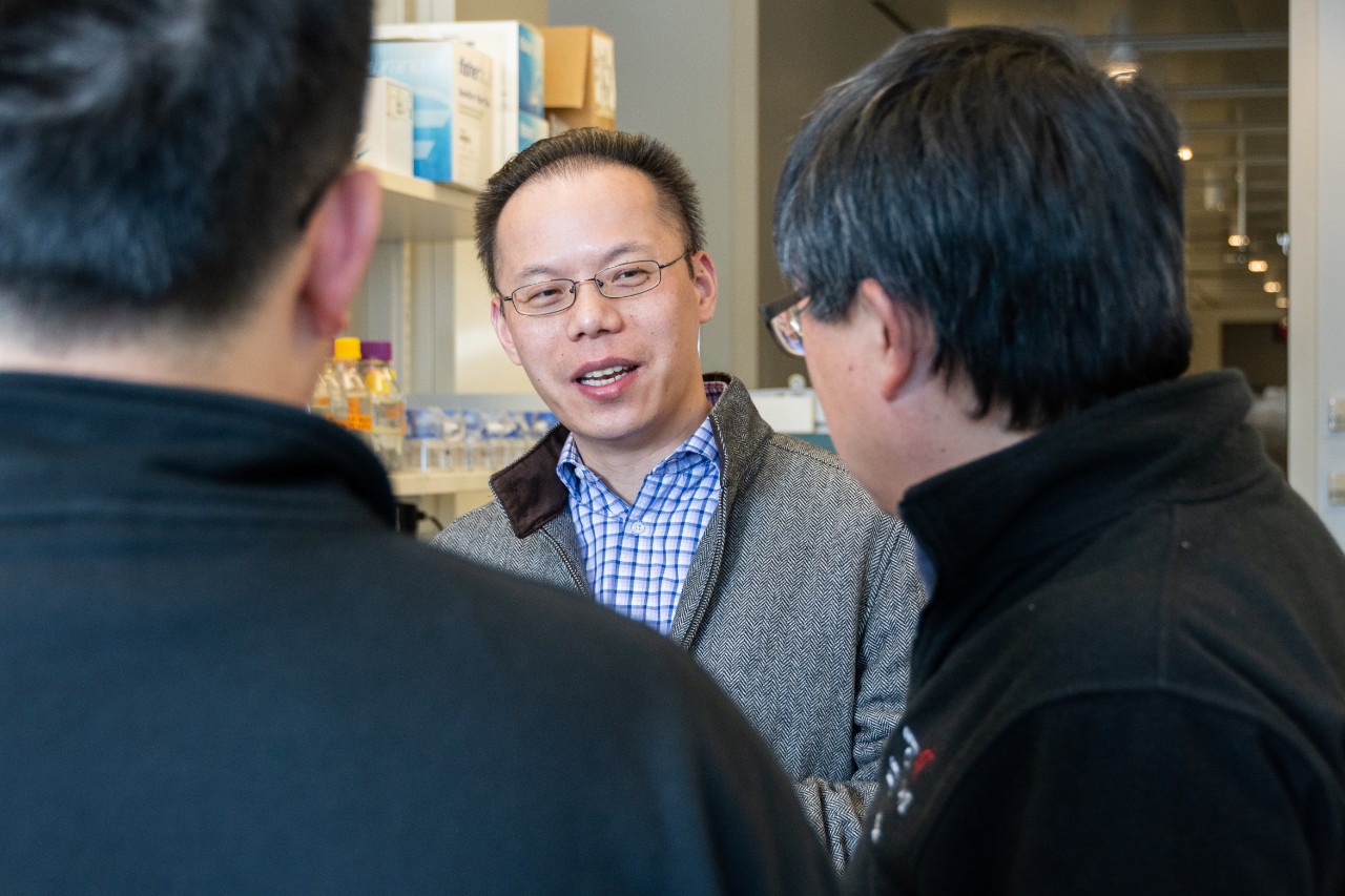 Drs. Sun and Diao and another lab member talk with each other in the lab