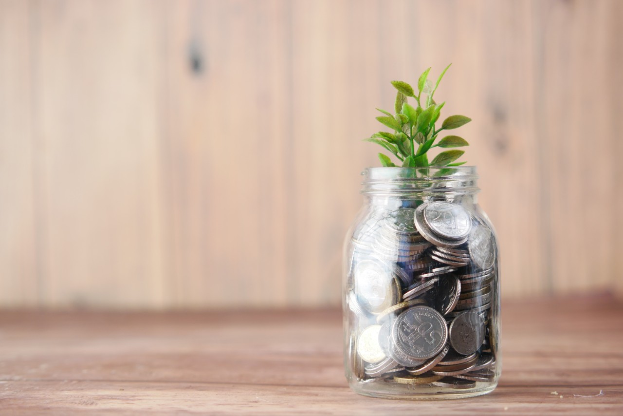 jar with coins growing a plant