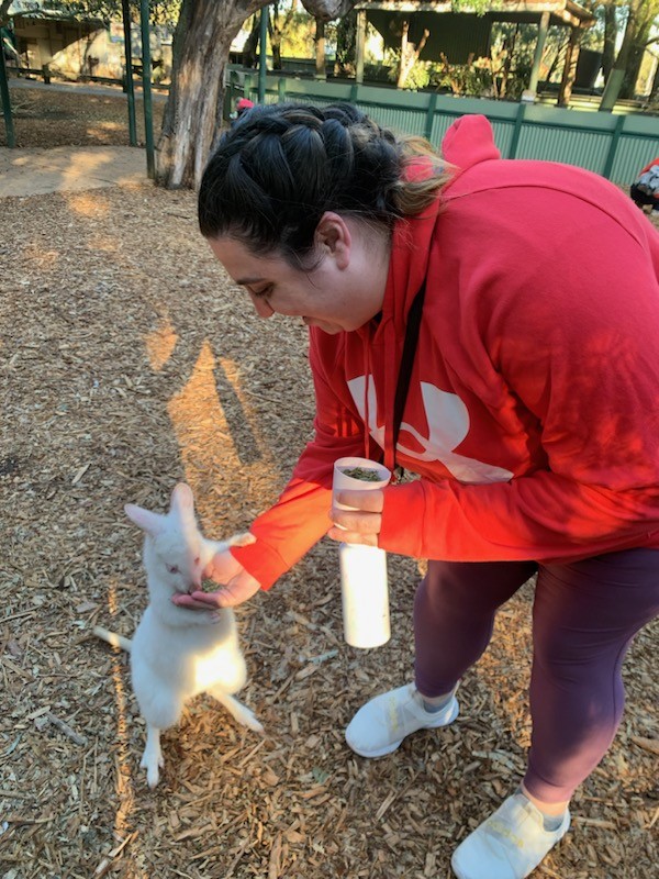UC Pharmacy student Courtney Campbell bends down to feed a white wallaby.