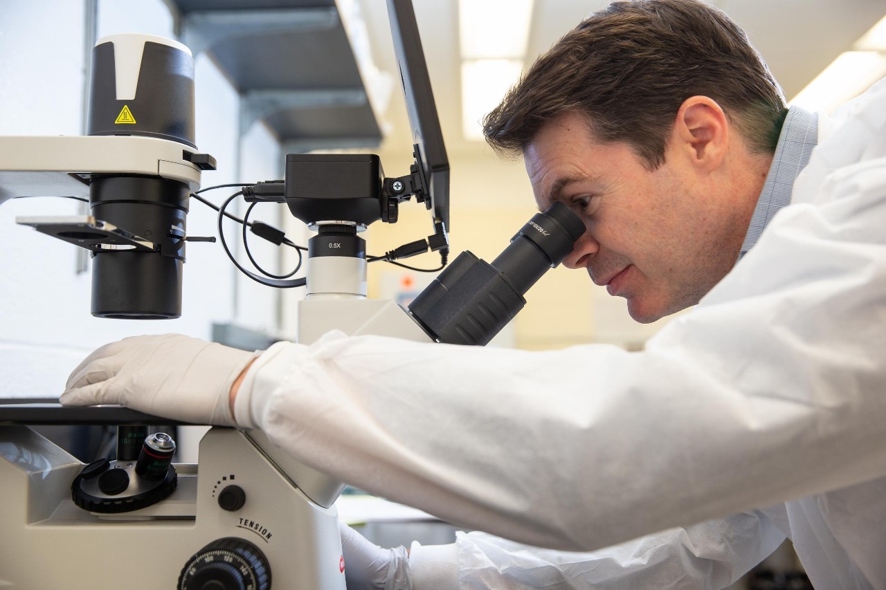 231006aPhoenix008.CR2
Lab, Research
Dr. Tim Phoenix, cancer researcher in the College of Pharmacy, is part of a collaborative multi-institutional group that has received a National Cancer Institute grant to study how to improve treatment for deadly pediatric brain tumors.