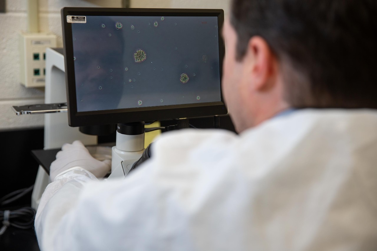 231006aPhoenix018.CR2
Lab, Research
Dr. Tim Phoenix, cancer researcher in the College of Pharmacy, is part of a collaborative multi-institutional group that has received a National Cancer Institute grant to study how to improve treatment for deadly pediatric brain tumors.