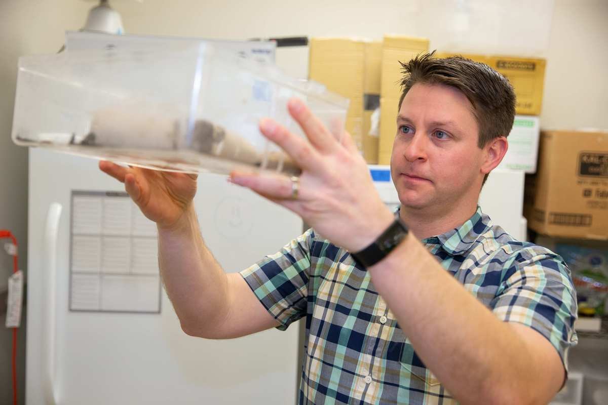 UC Professor Joshua Benoit holds up a container of beetle-mimic cockroaches in his biology lab.