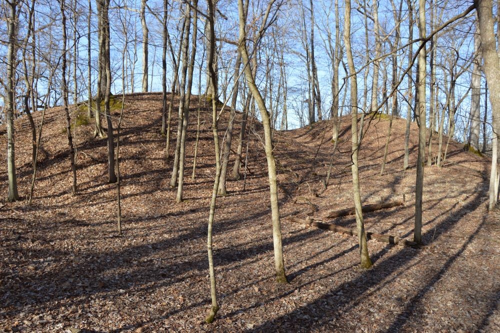 Hopewell mounds in the winter with brown grass and no leaves on trees 