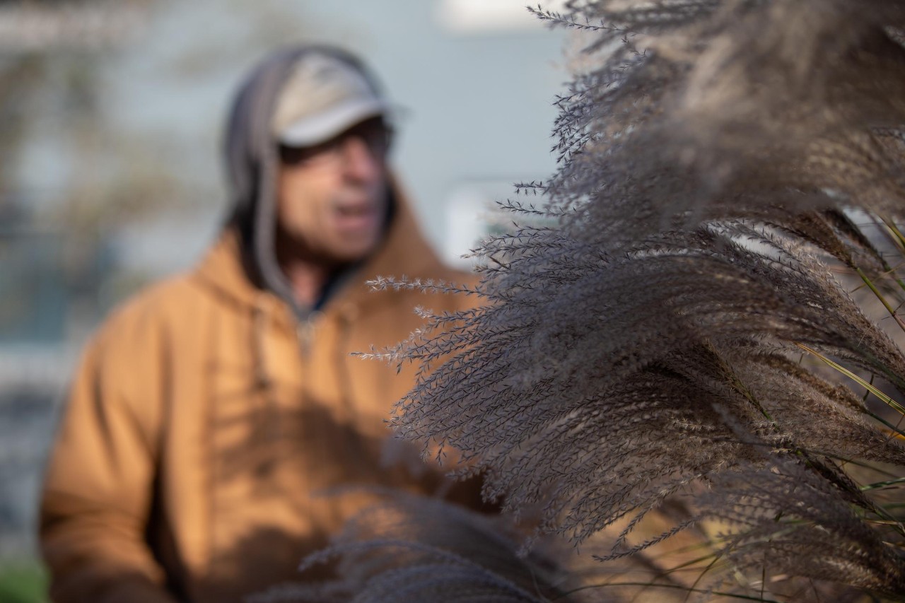 231129aConover017.CR2
UC Professor Denis Conover has a new study on invasive, nonnative plants at arboretums and other public places that are spreading into natural areas in Cincinnati. He studies how invasive plants outcompete native flora, reducing biodiversity in places where they are found.