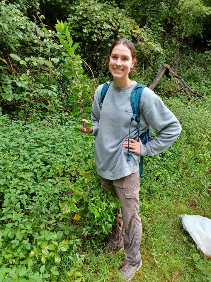 Olivia Canterbury holds up a nonnative flowering plant in Spring Grove.