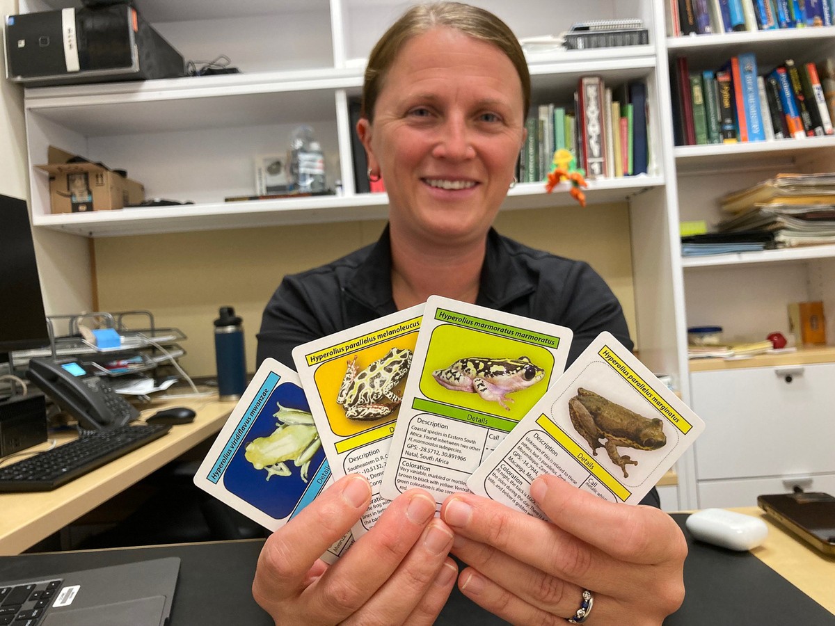 Lucinda Lawson splays out playing cards featuring pictures of frogs in her office.