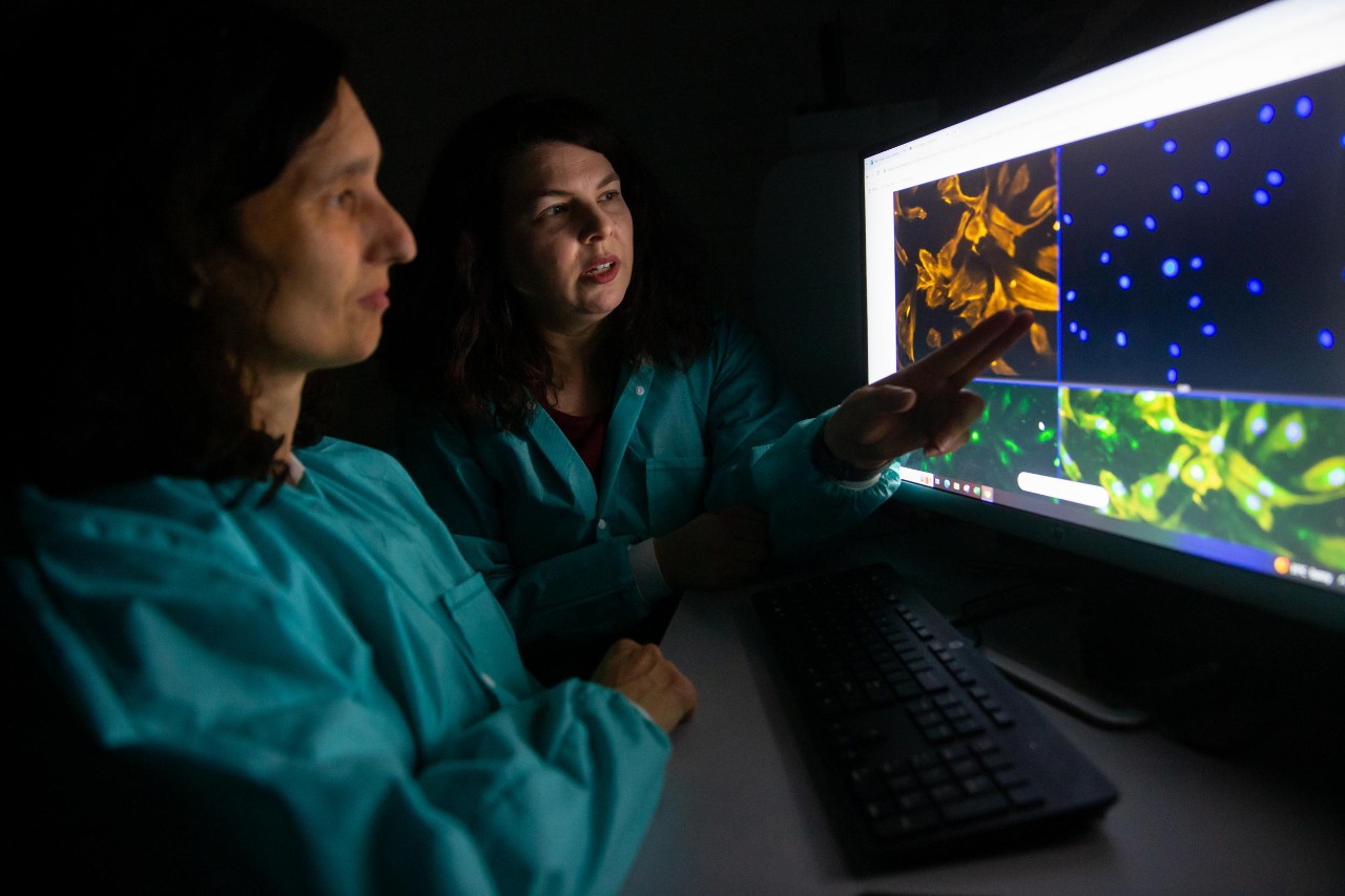 231207aSchutte032.CR2
Lab, Research
UC biomedical engineering professor Stacey Schutte has a new study with the College of Medicine examining potential new treatments for uterine fibroids.