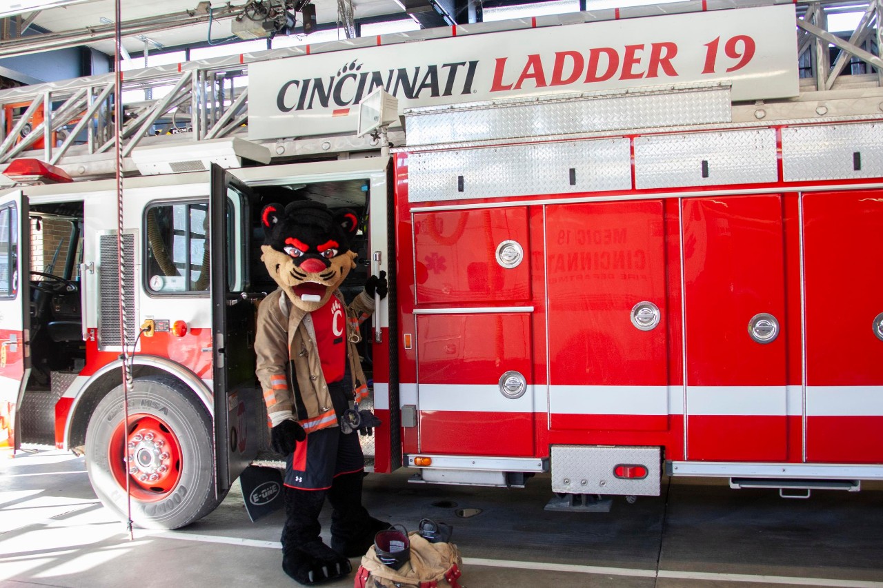 Bearcat
The Bearcat for Kim Dobb's Childrens Book 2019.