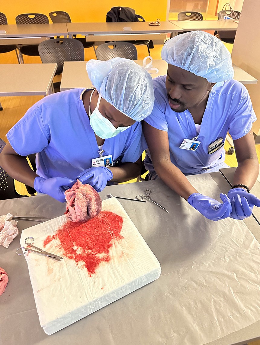 Muvunyi and Niyigena, gloved and gowned and wearing UC Health badges, sit at a table and examine a heart, which Muvunyi is tipping to the side; surgical instruments are on the table, as well as bloody gauze