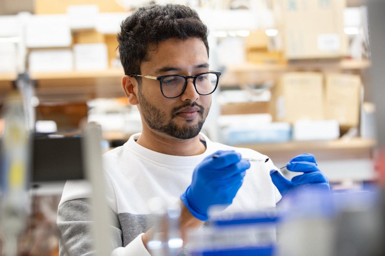 UC chemistry student Chaminda Nawarathne wearing gloves extracts nanotubes with lab bench equipment in the blurry foreground.