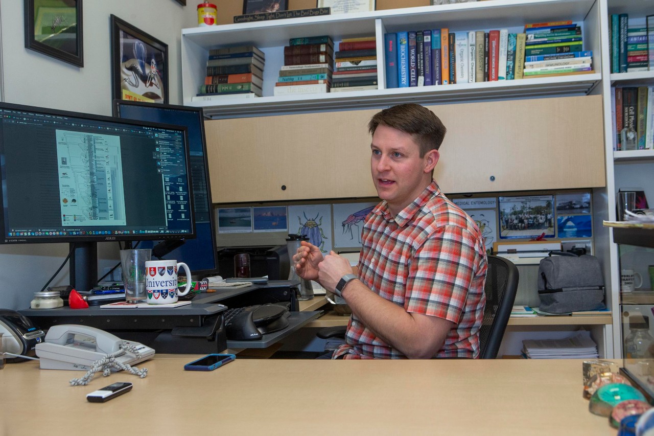 Joshua Benoit, University of Cincinnati assistant professor researching the genome of the Stable Fly shown here in Benoit’s lab at Rieveschl. UC/Joseph Fuqua II