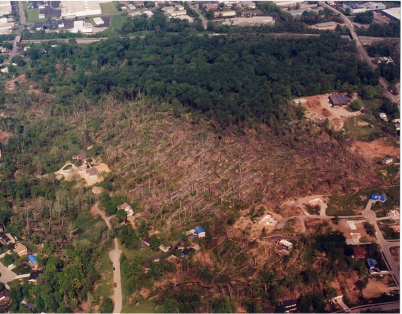 An aerial photo of the Harris Benedict Nature Preserve shows some forest intact and a large section leveled to bare earth.