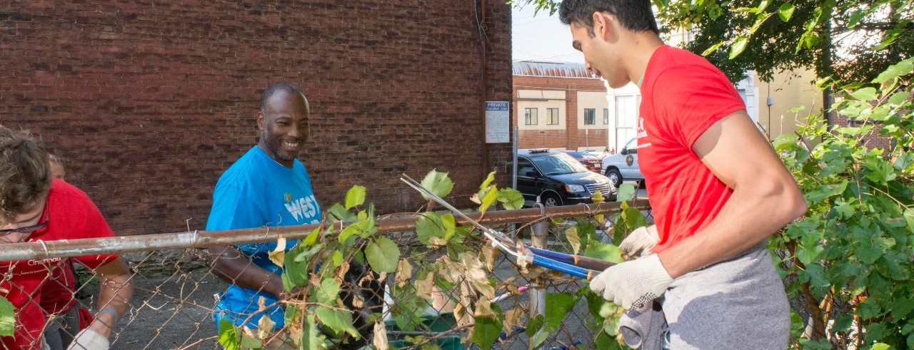 Students use hedge shears to clean up overgrown vegetation from a chain-link fence.