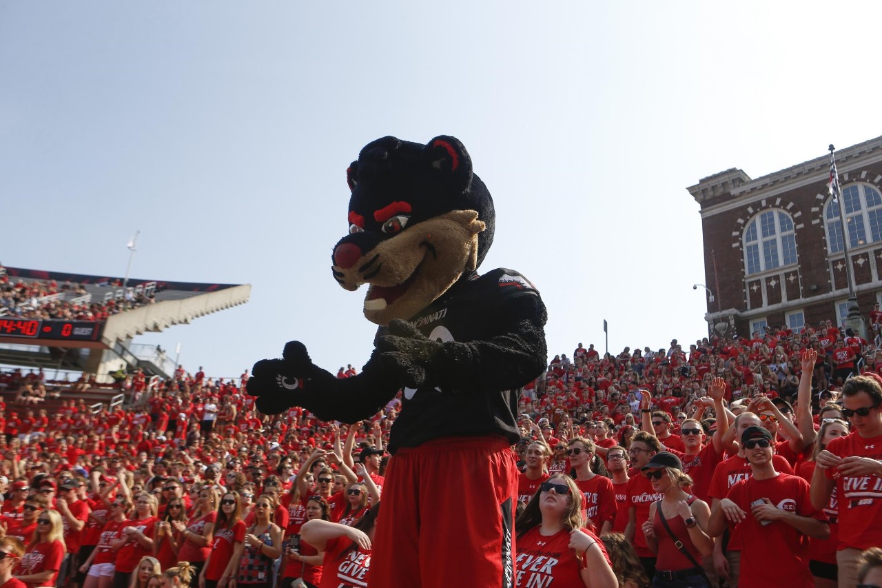 image of Bearcat Mascot standing heads above a crowd of hundreds in Nippert Stadium