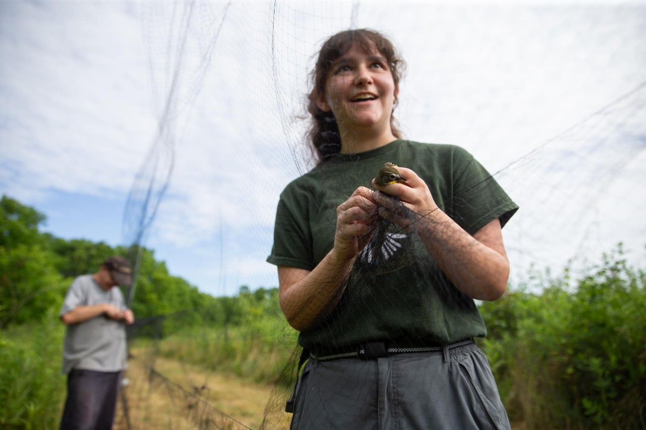 UC biologist and ornithologist Ron Canterbury at the Center for Field Studies with helpers banding birds for research.