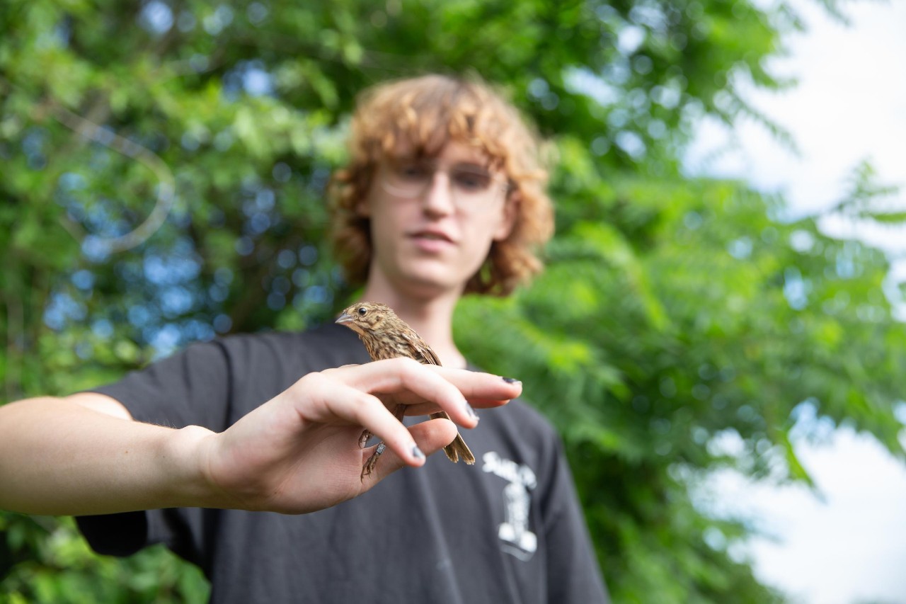 UC biologist and ornithologist Ron Canterbury at the Center for Field Studies with helpers banding birds for research.