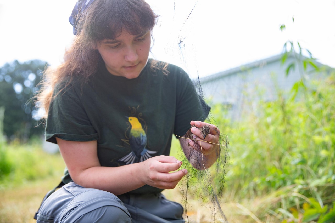 UC biologist and ornithologist Ron Canterbury at the Center for Field Studies with helpers banding birds for research.
