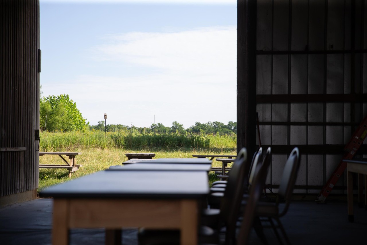 UC biologist and ornithologist Ron Canterbury at the Center for Field Studies with helpers banding birds for research.