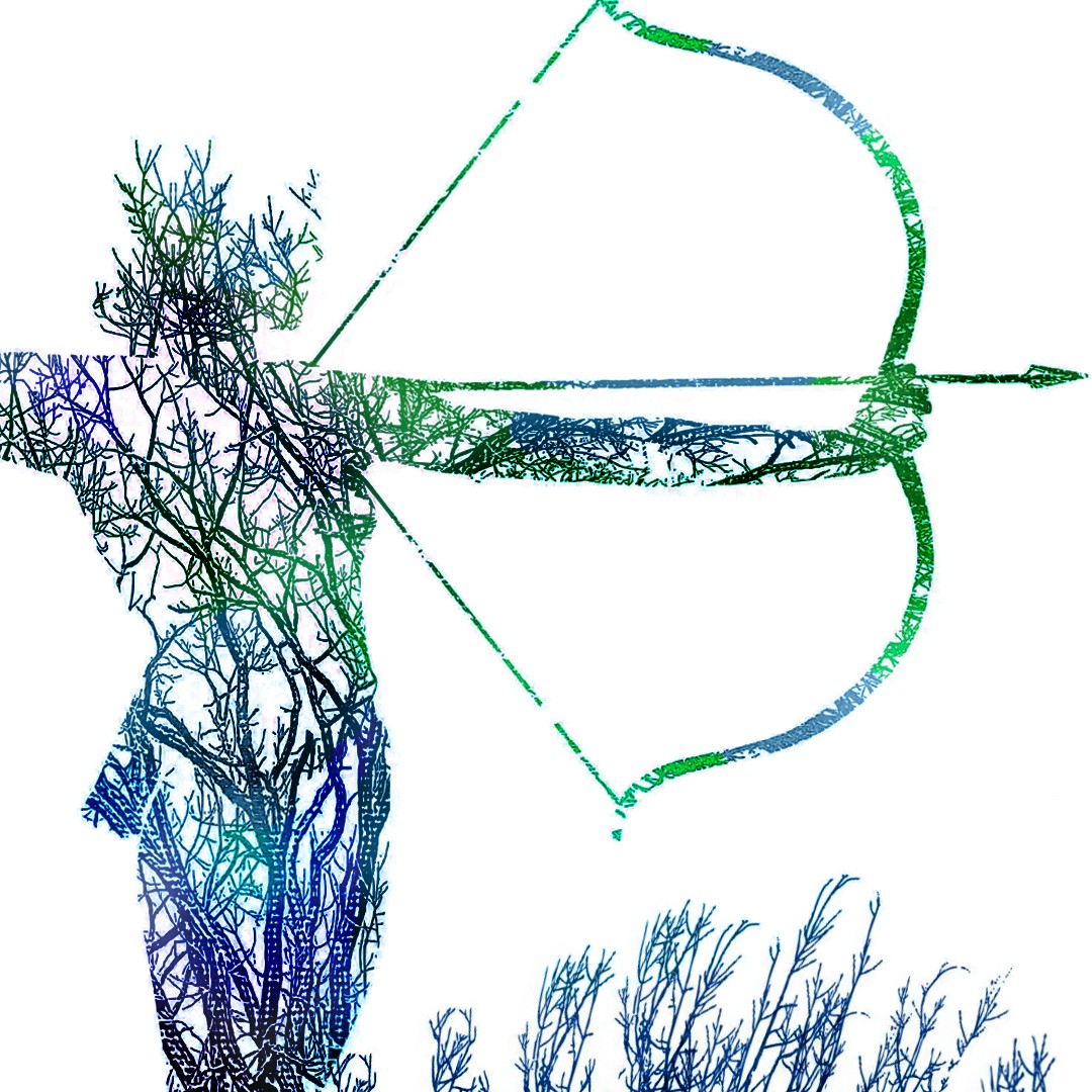 A promotional graphic for La Finta. 