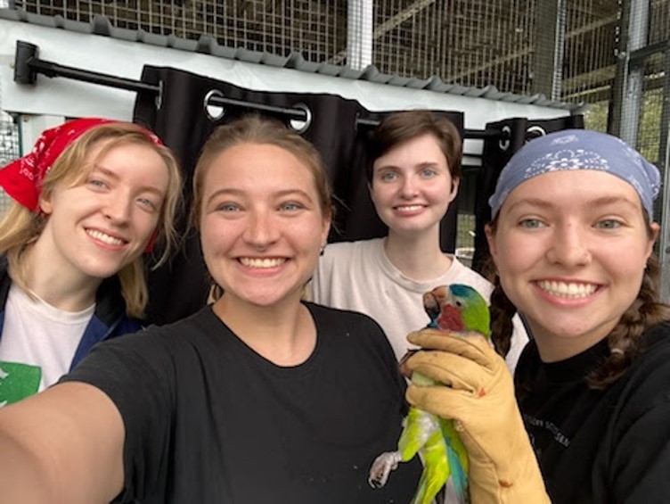 Four researchers pose for a selfie with a monk parakeet.